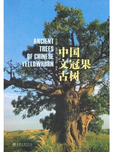 中国文冠果古树