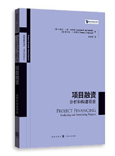 项目融资：分析和构建项目（高级金融学译丛）