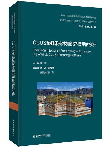 CCUS全链条技术知识产权评估分析