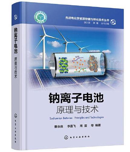 先进电化学能源存储与转化技术丛书--钠离子电池：原理与技术