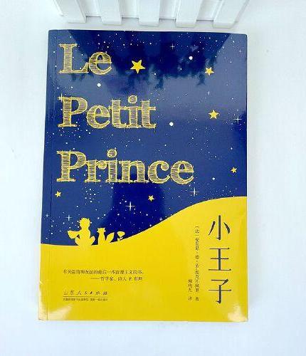 小王子 青少年成长阅读系列 外国现当代文学世界名著小说 小王子的奇想世界