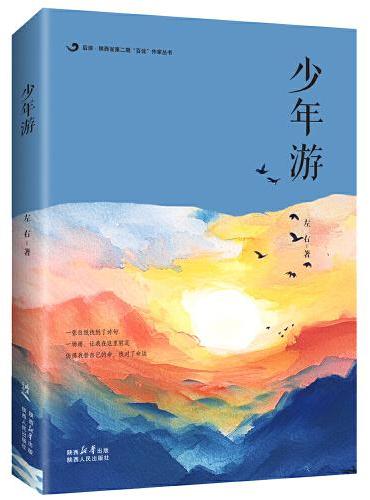 后浪 · 陕西省第二期“百优”作家丛书：少年游