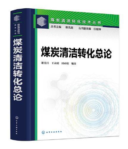 煤炭清洁转化技术丛书--煤炭清洁转化总论