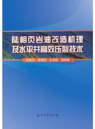 陆相页岩油改造机理及水平井高效压裂技术