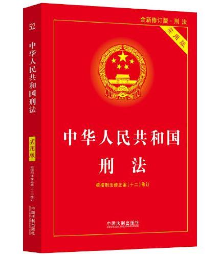 中华人民共和国刑法（实用版）（第十版）