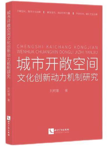 城市开敞空间文化创新动力机制研究