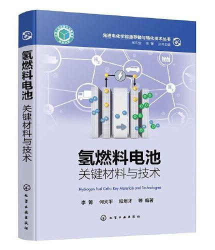 先进电化学能源存储与转化技术丛书--氢燃料电池：关键材料与技术