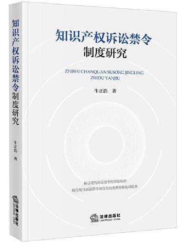 知识产权诉讼禁令制度研究