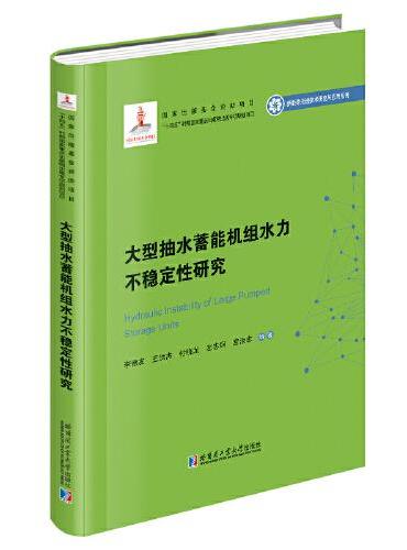 大型抽水蓄能机组水力不稳定性研究