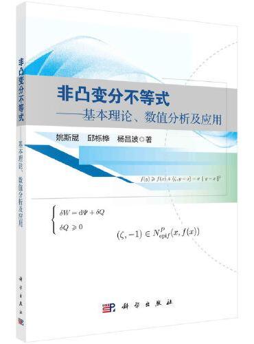 非凸变分不等式--基本理论、数值分析及应用