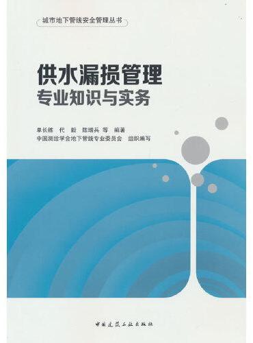 供水漏损管理专业知识与实务