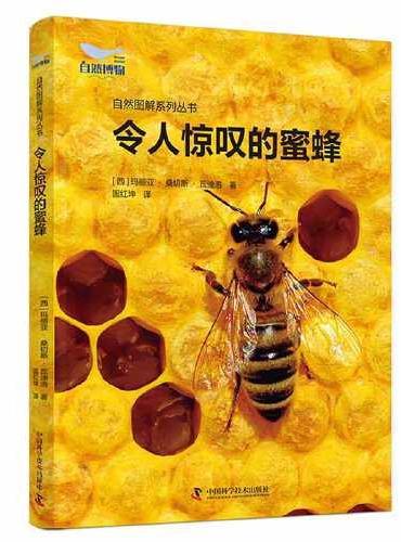 令人惊叹的蜜蜂 自然图解系列丛书