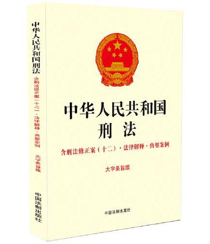 中华人民共和国刑法：含刑法修正案（十二）·法律解释·典型案例（16开）