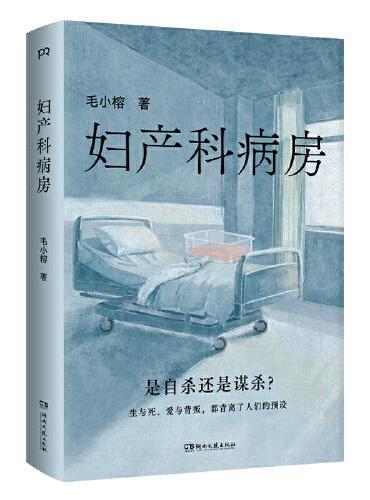 妇产科病房（国家一级文学编辑、电视纪录片资深编导柳叶刀全新力作）