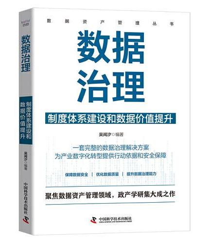 数据治理 ： 制度体系建设和数据价值提升  数据资产管理丛书