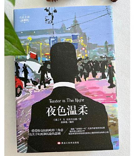 夜色温柔 精装版全译本世界文学名著青少年课外读物外国文学名家精选书系6-15岁中小学生课外阅读书