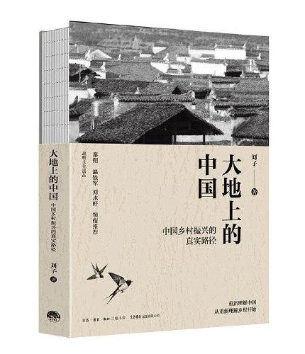 大地上的中国：中国乡村振兴的真实路径