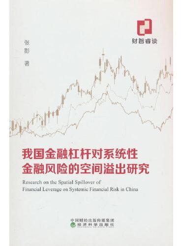 我国金融杠杆对系统性金融风险的空间溢出研究