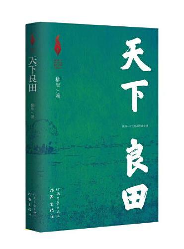 天下良田（新时代山乡巨变创作计划）一本让人读懂高标准农田建设的小说