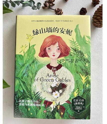 绿山墙的安妮 精装版全译本世界文学名著青少年课外读物外国文学名家精选书系6-15岁中小学生课外阅读书