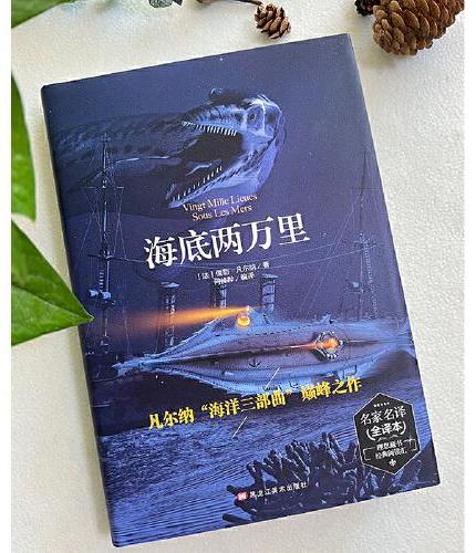 海底两万里 精装版全译本世界文学名著青少年课外读物外国文学名家精选书系6-15岁中小学生课外阅读书