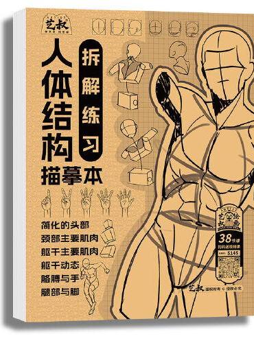 人体结构描摹本拆解练习
