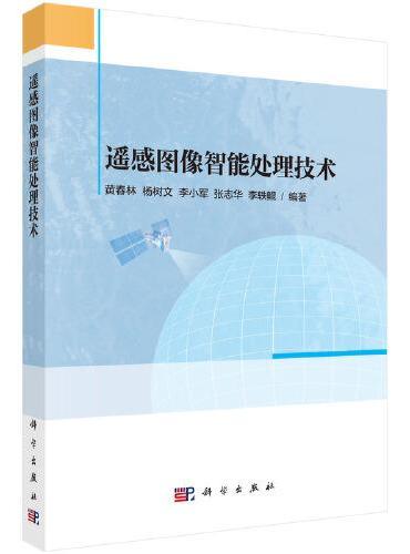 遥感图像智能处理技术