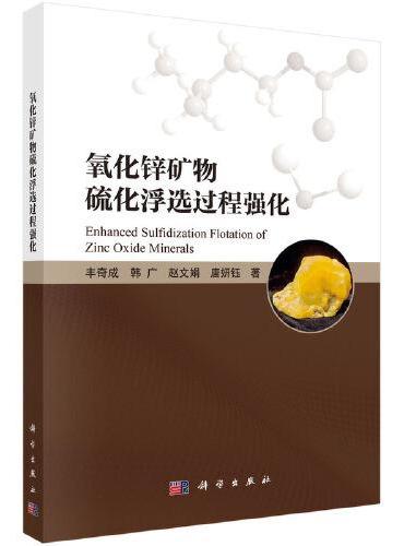 氧化锌矿物硫化浮选过程强化