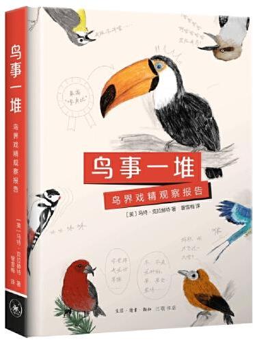 鸟事一堆：鸟界戏精观察报告