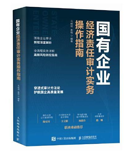 国有企业经济责任审计实务操作指南