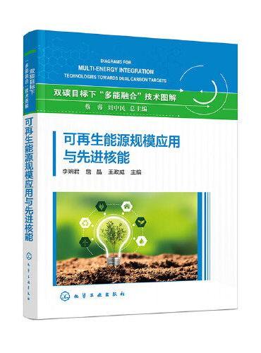 可再生能源规模应用与先进核能