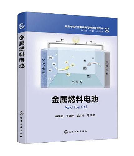 先进电化学能源存储与转化技术丛书--金属燃料电池