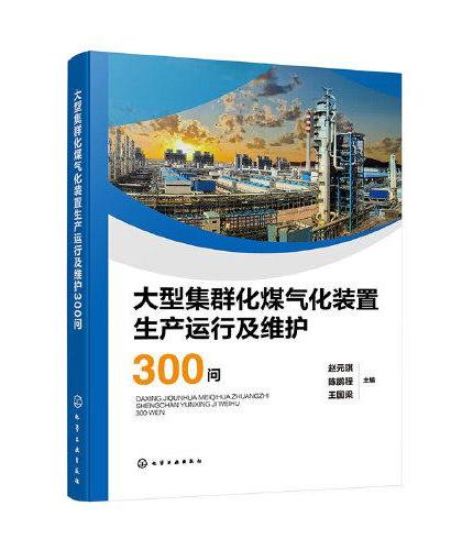 大型集群化煤气化装置生产运行及维护300问