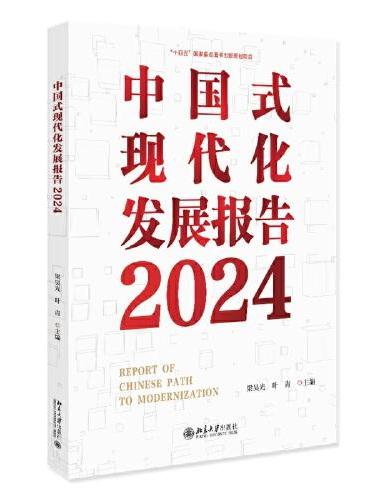 中国式现代化发展报告2024