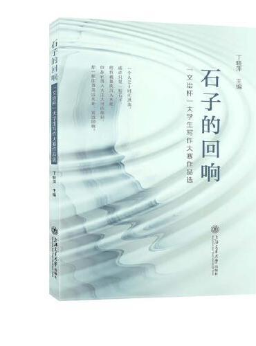 石子的回响