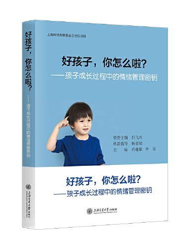 好孩子，你怎么啦？孩子成长过程中的情绪管理密钥