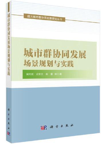 城市群协同发展场景规划与实践