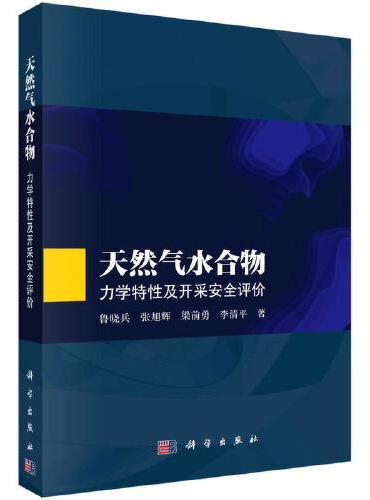 天然气水合物：力学特性及开采安全评价