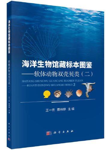 海洋生物馆藏标本图鉴--软体动物双壳贝类（二）