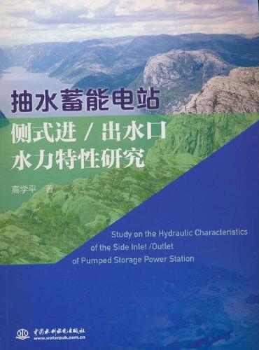 抽水蓄能电站侧式进/出水口水力特性研究