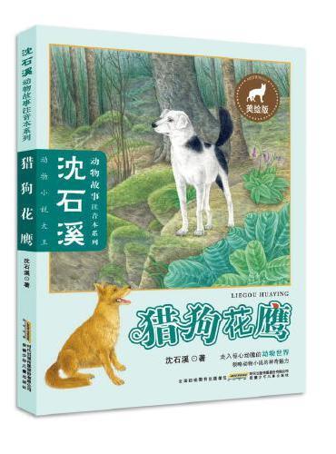 沈石溪动物故事·猎狗花鹰