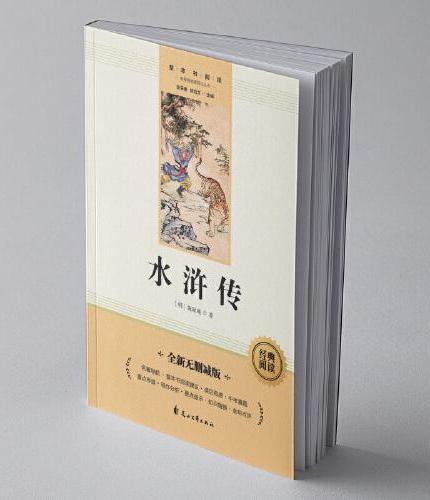 儒林外史+水浒传（全2册）九年级下赠送考点手册中学生课外阅读指导丛书无障碍阅读读外阅读寒假阅读语文配套阅读书