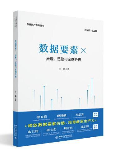 数据要素×：原理、思路与案例分析 数据资产系列丛书