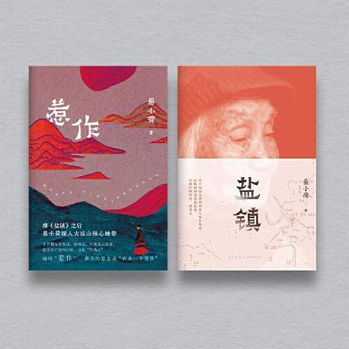 易小荷女性文学套装：惹作+盐镇（共2册）