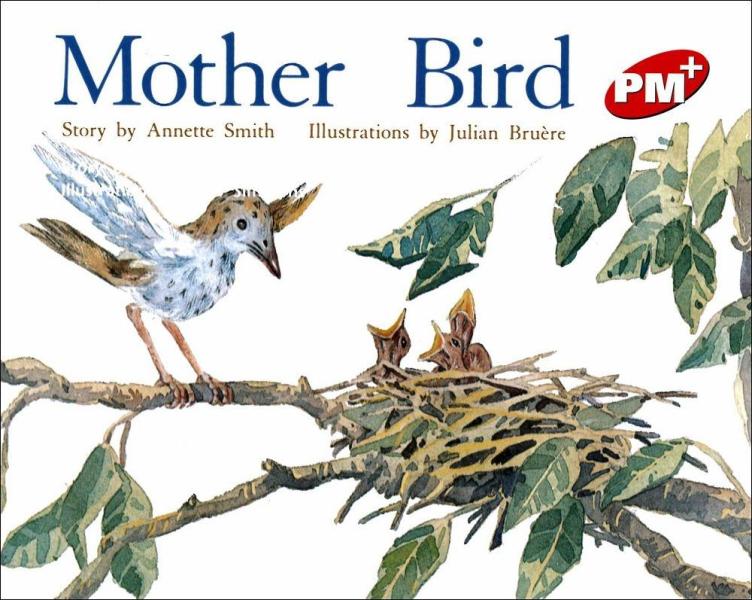 PM Plus Red （4） Mother Bird
