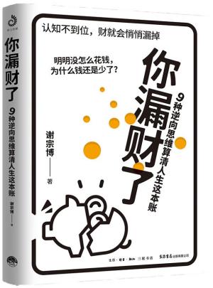 你漏财了：9种逆向思维算清人生这本账