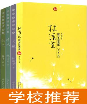 林清玄散文集（青少年版）（全4册） 含：散文集（少年版）、林泉、清欢（媲美《人生最美是清欢》）、玄想（媲美《愿你归来仍是