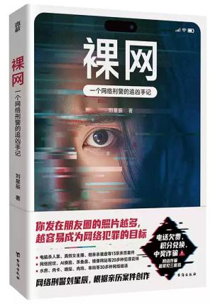 裸网：一个网络刑警的追凶手记