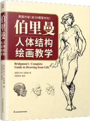 伯里曼人体结构绘画教学
