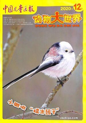 中国儿童画报.动物大世界（一年订阅，月刊，12期）